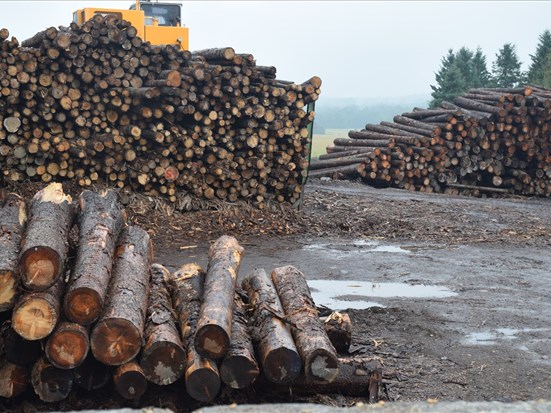 L’industrie forestière frappée à nouveau par des tarifs