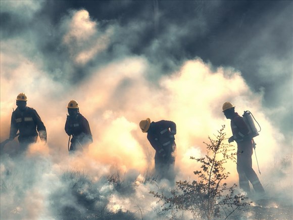 Un feu de forêt maitrisé près du lac Dallaire 