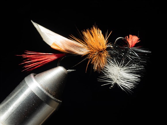 Un projet pilote éducatif régional qui va bon train 