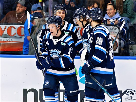 Les Sags poursuivent sur leur lancée face aux Tigres