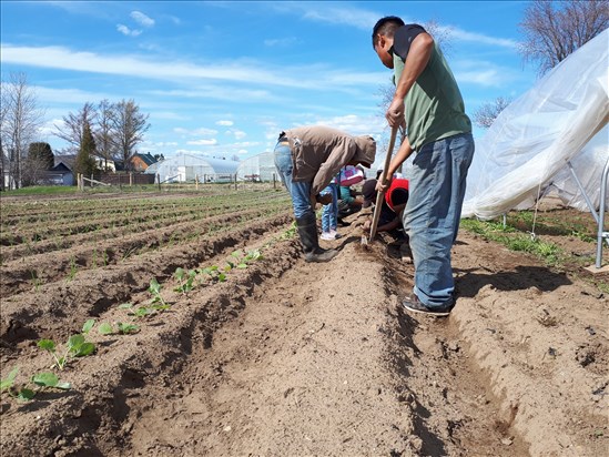 Saguenay vote une résolution appuyant la mobilisation des régions