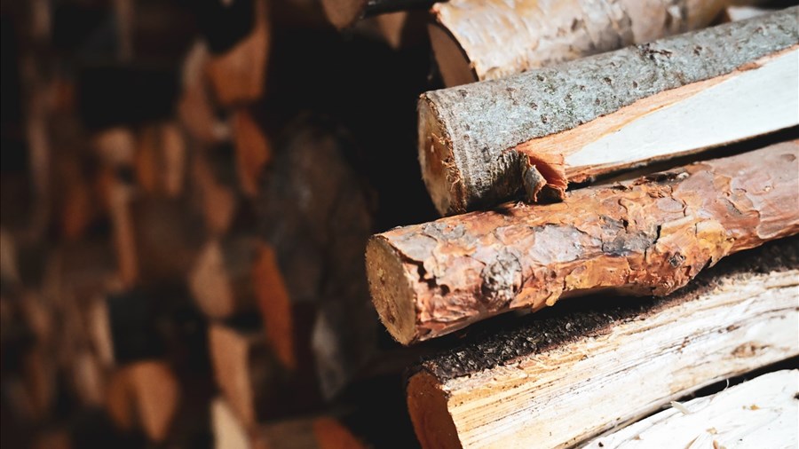 Création de l’Alliance de l’écosystème industriel forestier du Québec