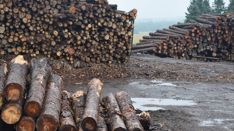 Québec met en place une « mini-réforme » du régime forestier