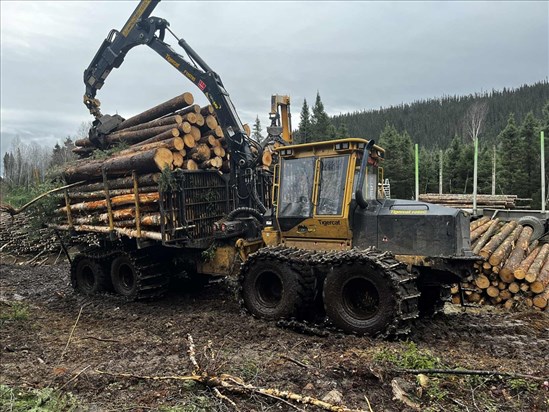 Alliance forêt boréale devient l’Alliance des communautés forestières