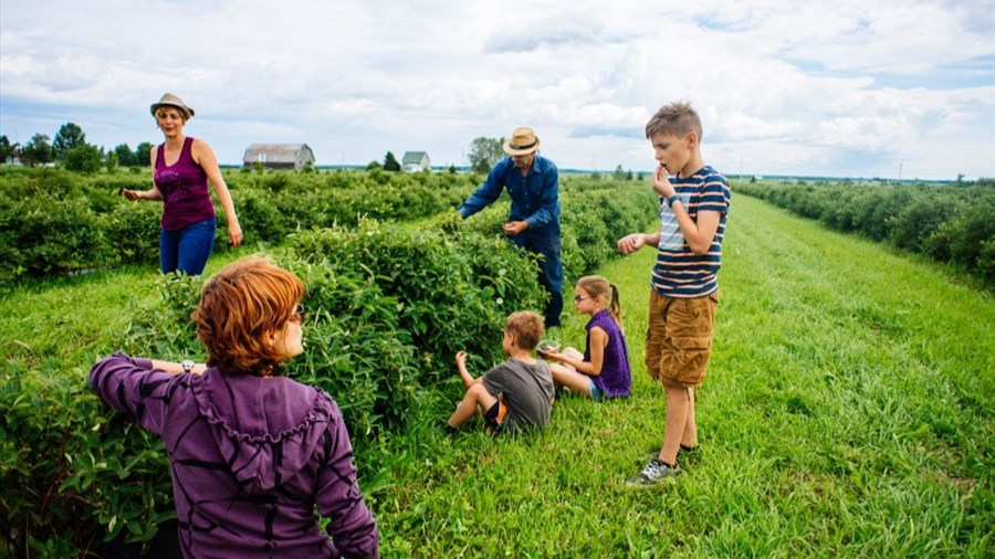 Québec assouplit ses règles pour stimuler l’agrotourisme