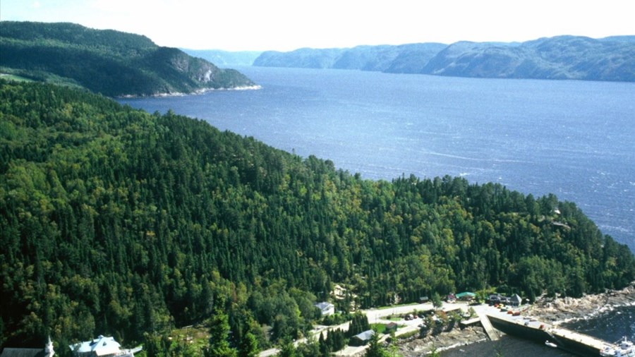 Sainte-Rose-du-Nord débute enfin ses travaux de traitement des eaux usées 