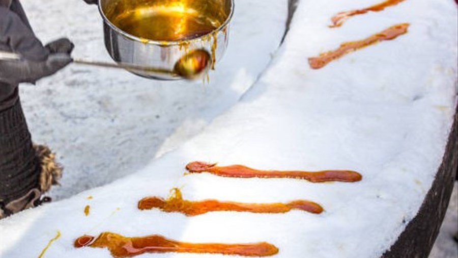 Une première édition sucrée et festive au cœur de Chicoutimi‑Nord