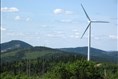 Appel à un moratoire sur le développement éolien au Québec