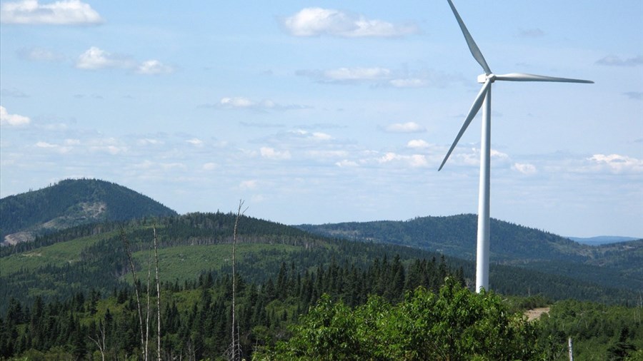 Appel à un moratoire sur le développement éolien au Québec