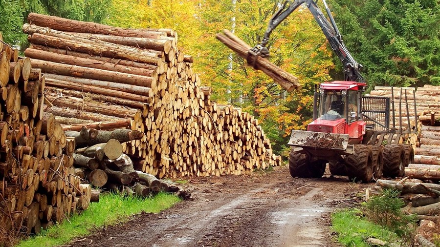 Le Saguenay–Lac-Saint-Jean plus exposé aux tarifs américains