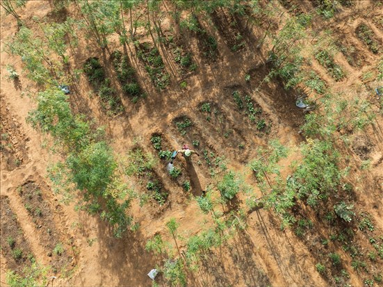 Une coopérante du Saguenay–Lac-Saint-Jean grièvement blessée