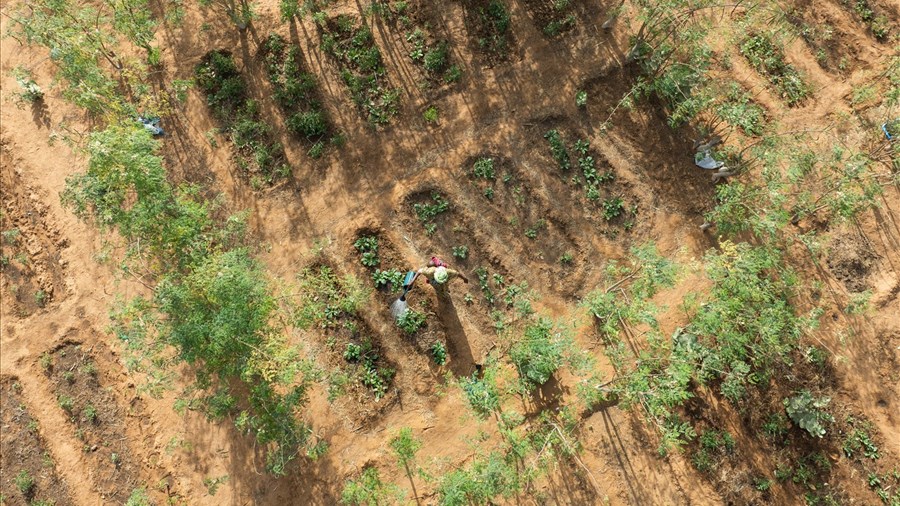 Une coopérante du Saguenay–Lac-Saint-Jean grièvement blessée