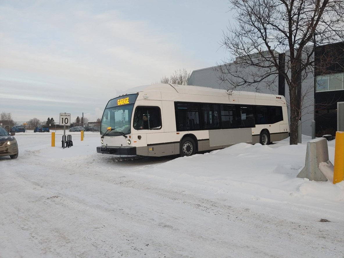 La STS devra payer 50 000 $ pour cinq autobus électriques