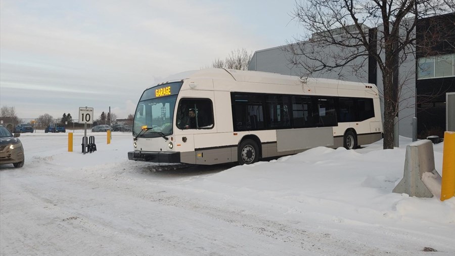 La STS devra payer 50 000 $ pour cinq autobus électriques