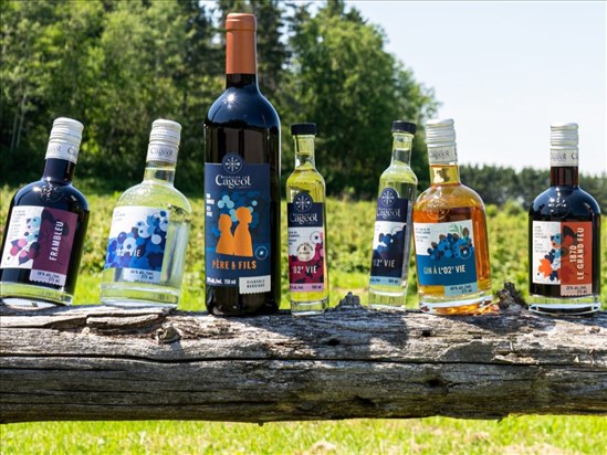 Un retour en grand pour le Domaine le Cageot