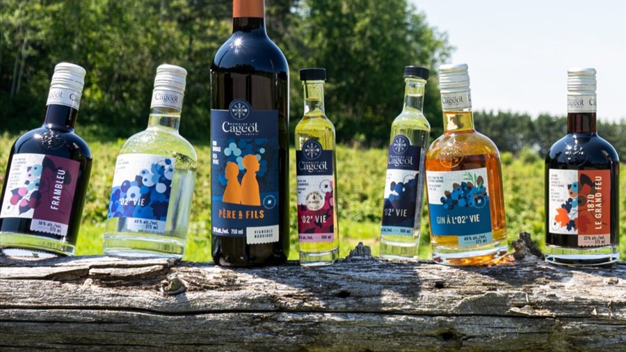 Un retour en grand pour le Domaine le Cageot