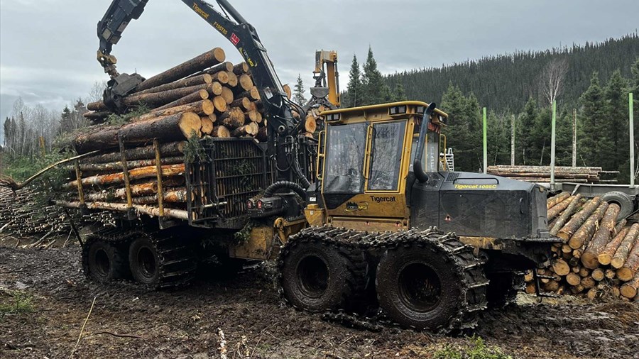 122,5 M$ pour soutenir les travailleurs touchés par les tarifs