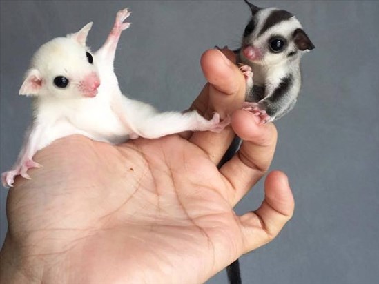 Une 10e saison couronnée de succès