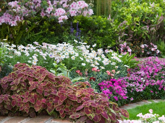 Un concours d’horticulture pour célébrer le centenaire d’Arvida