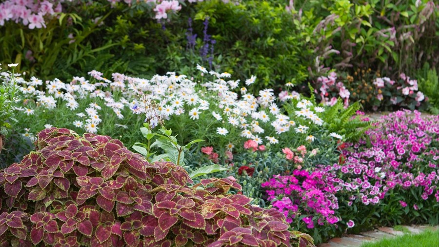 Un concours d’horticulture pour célébrer le centenaire d’Arvida
