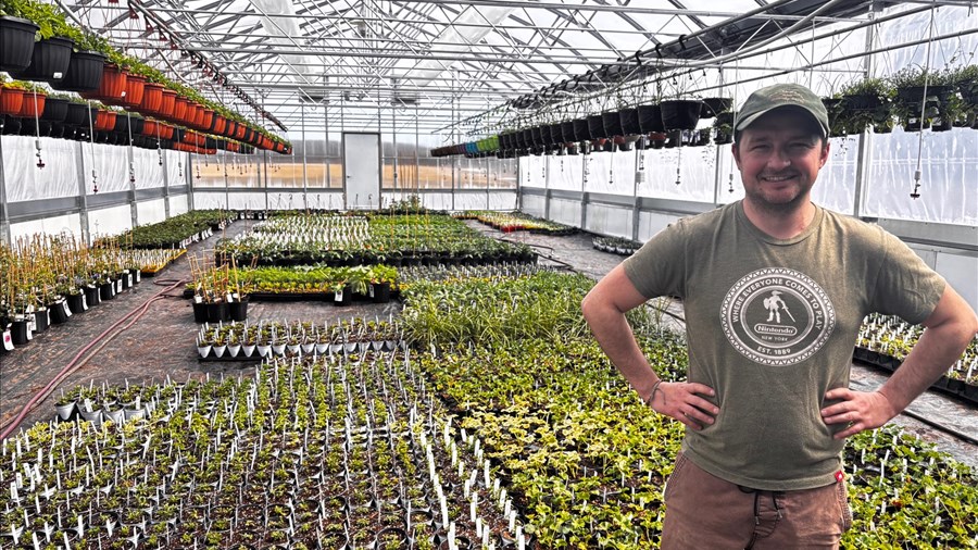 La Pépinière Boréalis fleurit avec l’arrivée du printemps
