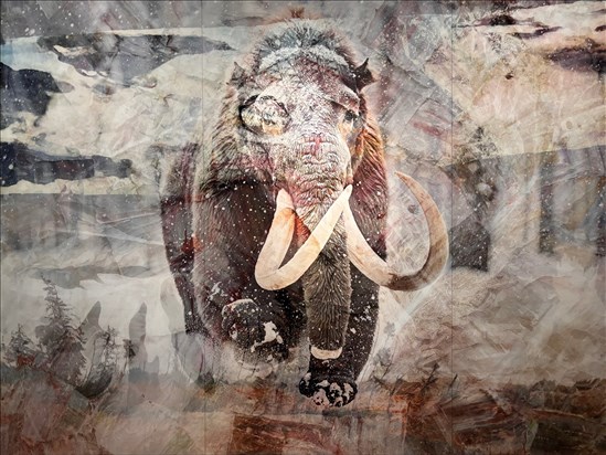 Quand l’art s’inspire de la nature