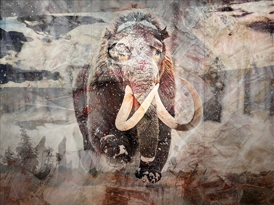 Quand l’art s’inspire de la nature