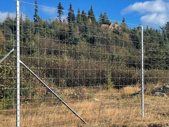 L’entreprise française CAPCLO s’implante au Saguenay