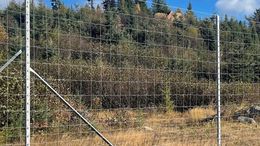 L’entreprise française CAPCLO s’implante au Saguenay