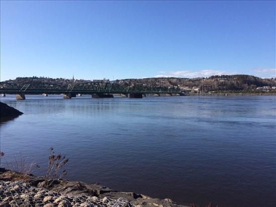 Activité de plantation de végétaux indigènes sur les rives du Saguenay