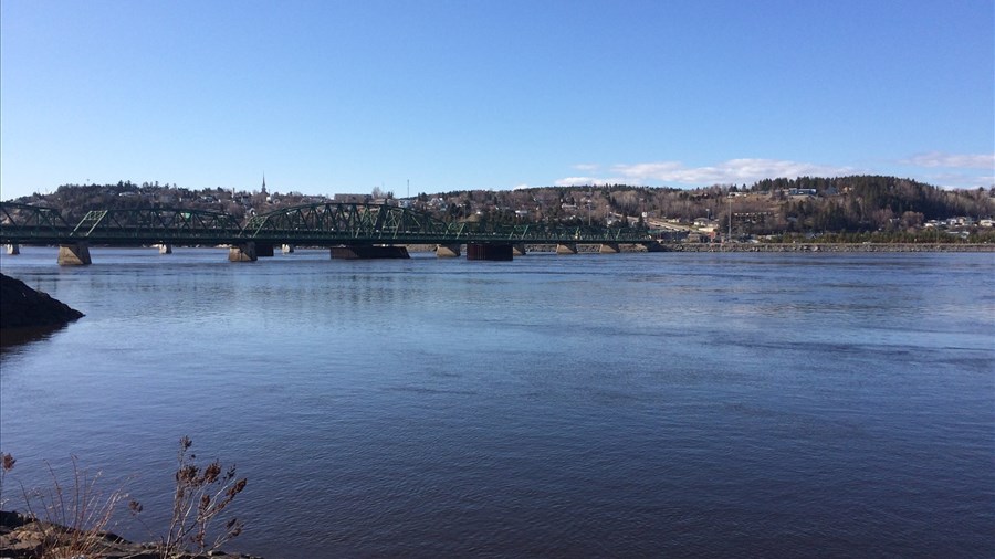 Activité de plantation de végétaux indigènes sur les rives du Saguenay
