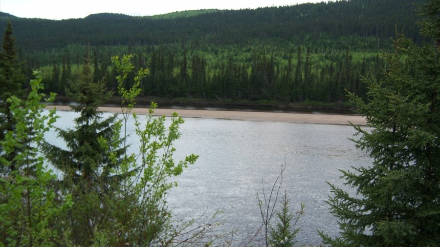 300 000 $ pour aménager les forêts publiques locales au Saguenay