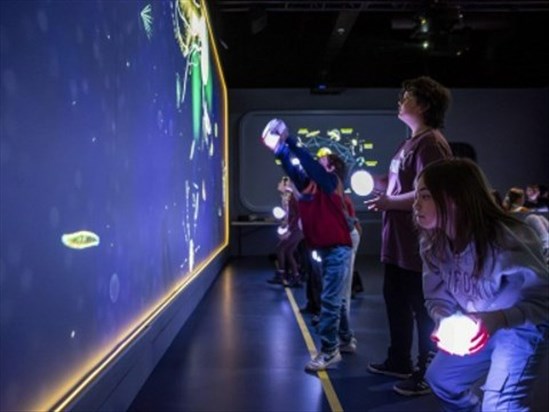 Plancton Odyssée : une nouvelle expérience immersive au Musée du Fjord