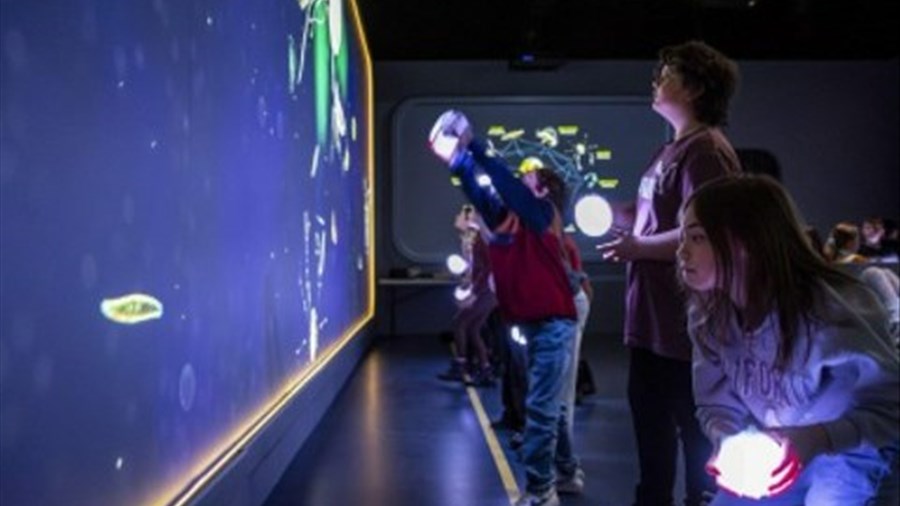 Plancton Odyssée : une nouvelle expérience immersive au Musée du Fjord