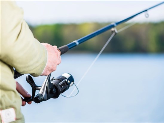 La Fédération québécoise des chasseurs et pêcheurs veut passer à l’action