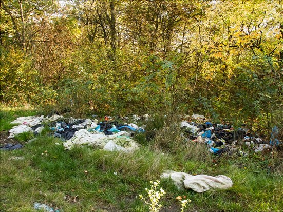 Neuf campements à démanteler dans la région