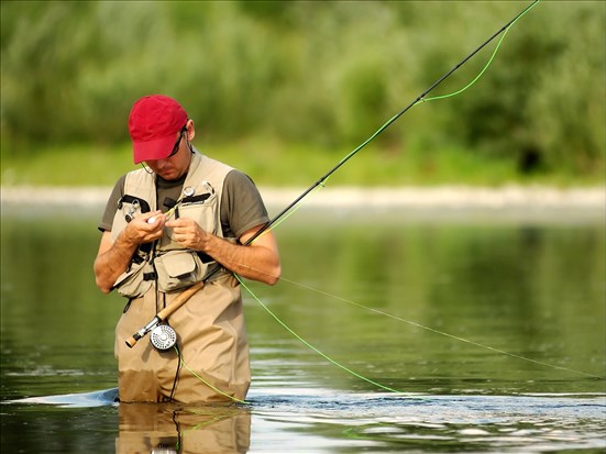 Pêche à la mouche : conseils et erreurs à éviter
