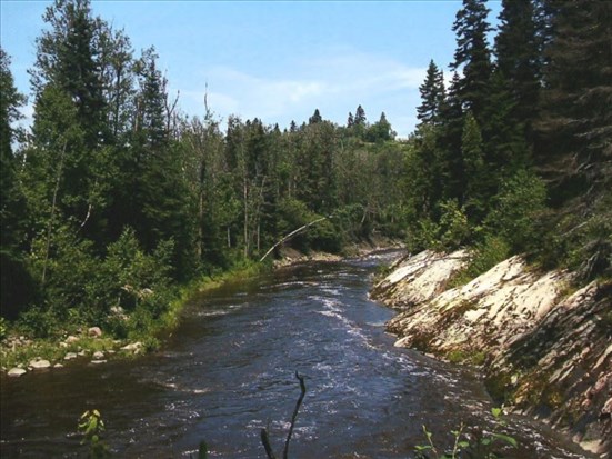 La personne recherchée dans la rivière a été repêchée