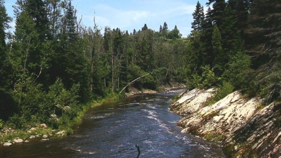 Une personne recherchée dans la rivière