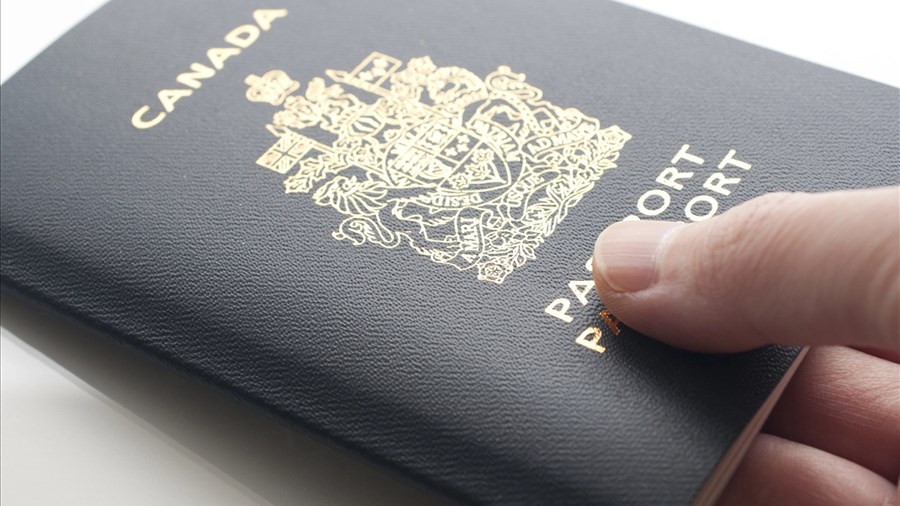 Le renouvellement en ligne maintenant offert à tous les adultes